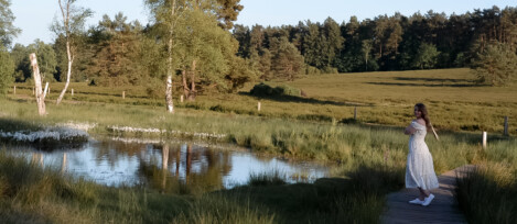 Foto in Heidelandschaft Person auf Steg am Wasser